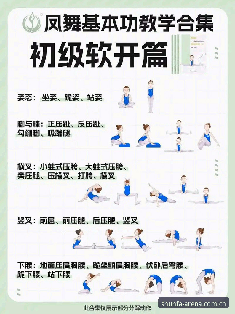 顺发体育功能 顺发体育功能使用教程:从入门到精通的完整操作指南